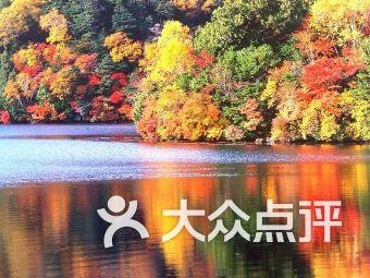 小明从甲地去乙地开会,小亮从乙地去甲地卖货物,两人同时从两地相对出发,小明与小亮的速度之比是5:3 (-全方位答疑平台