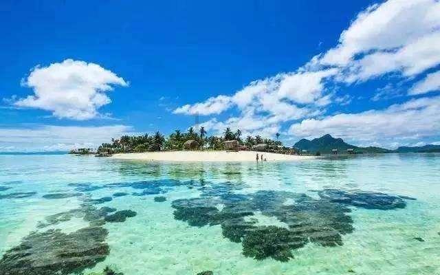 生化危机：浣熊市行动